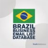 Brazil Business Email List Database
