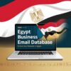 Egypt Business Email Database
