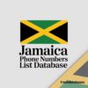 Jamaica Phone Numbers List Database